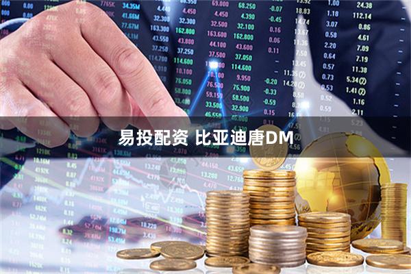 易投配资 比亚迪唐DM