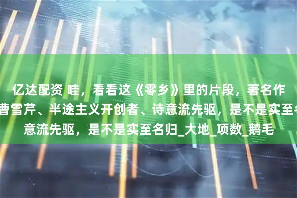 亿达配资 哇，看看这《零乡》里的片段，著名作家唐国明被称为山林曹雪芹、半途主义开创者、诗意流先驱，是不是实至名归_大地_项数_鹅毛