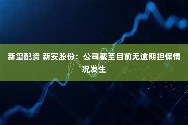 新玺配资 新安股份：公司截至目前无逾期担保情况发生